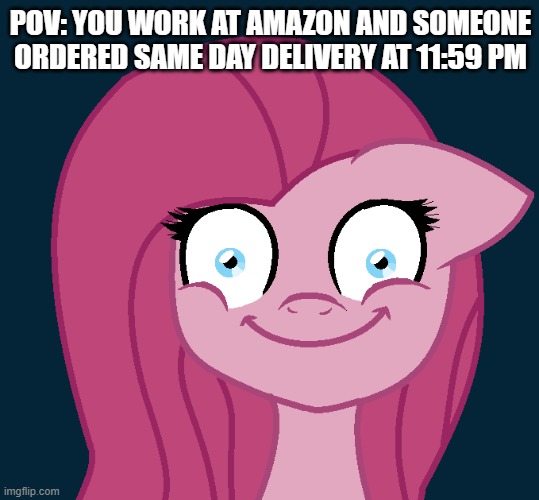 My little pony insane | POV: YOU WORK AT AMAZON AND SOMEONE ORDERED SAME DAY DELIVERY AT 11:59 PM | image tagged in my little pony insane | made w/ Imgflip meme maker