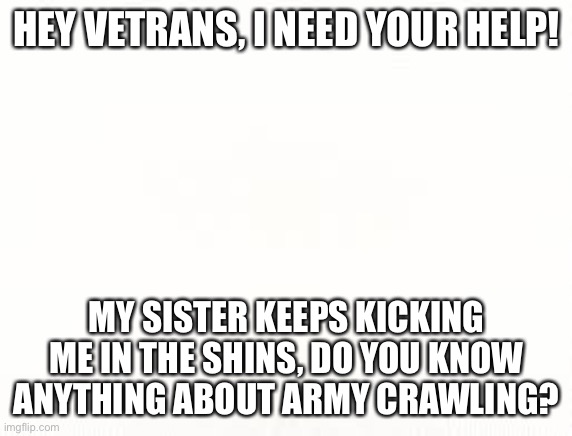 Help | HEY VETRANS, I NEED YOUR HELP! MY SISTER KEEPS KICKING ME IN THE SHINS, DO YOU KNOW ANYTHING ABOUT ARMY CRAWLING? | image tagged in ehite | made w/ Imgflip meme maker