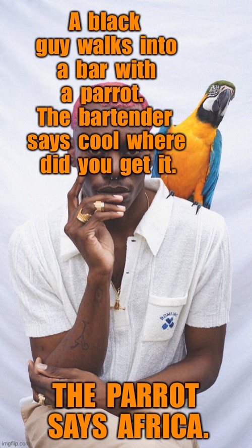 Parrot in a bar | A  black  guy  walks  into  a  bar  with  a  parrot.  
The  bartender  says  cool  where  did  you  get  it. THE  PARROT  SAYS  AFRICA. | image tagged in black man with parrot in bar,bartender says cool,where did yo get it,the parrot says,africa,dark humour | made w/ Imgflip meme maker