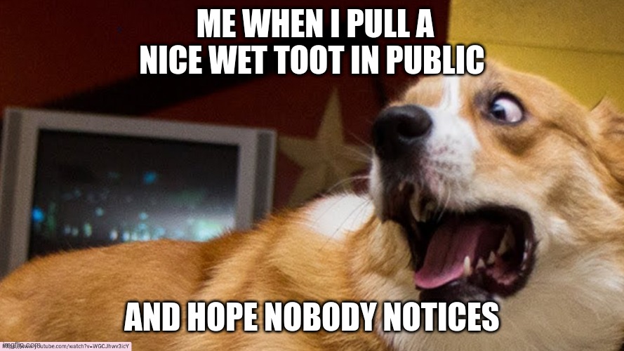 Funny | ME WHEN I PULL A NICE WET TOOT IN PUBLIC; AND HOPE NOBODY NOTICES | image tagged in lmao | made w/ Imgflip meme maker
