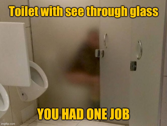 Toilet cubicle | Toilet with see through glass; YOU HAD ONE JOB | image tagged in toilet cubicle glass side,see through,not private,you had one job | made w/ Imgflip meme maker