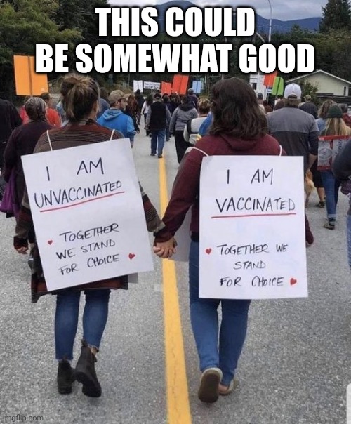 Vaccinated | THIS COULD BE SOMEWHAT GOOD | image tagged in together | made w/ Imgflip meme maker
