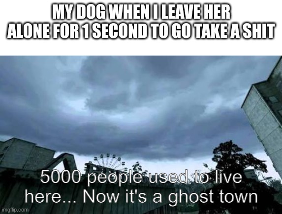 Call of Duty 4: Modern Warfare Opening Cutscene meme | MY DOG WHEN I LEAVE HER ALONE FOR 1 SECOND TO GO TAKE A SHIT | made w/ Imgflip meme maker