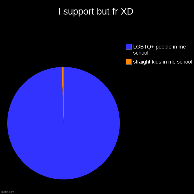 I support but fr XD | straight kids in me school, LGBTQ+ people in me school | image tagged in charts,pie charts | made w/ Imgflip chart maker