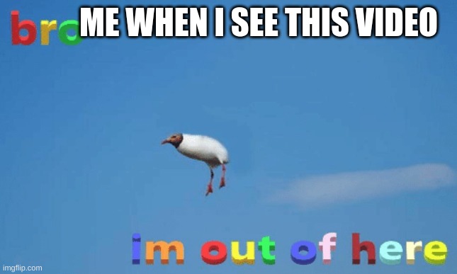 bro im out of here | ME WHEN I SEE THIS VIDEO | image tagged in bro im out of here | made w/ Imgflip meme maker