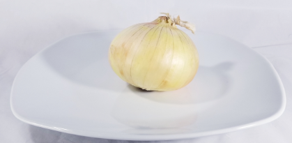 High Quality Onion on a plate Blank Meme Template