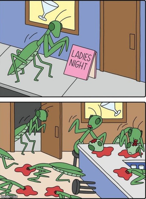 Shouldn't He Know Better! | image tagged in comics | made w/ Imgflip meme maker