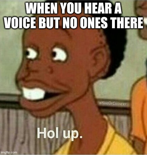 dude | WHEN YOU HEAR A VOICE BUT NO ONES THERE | image tagged in hol up | made w/ Imgflip meme maker