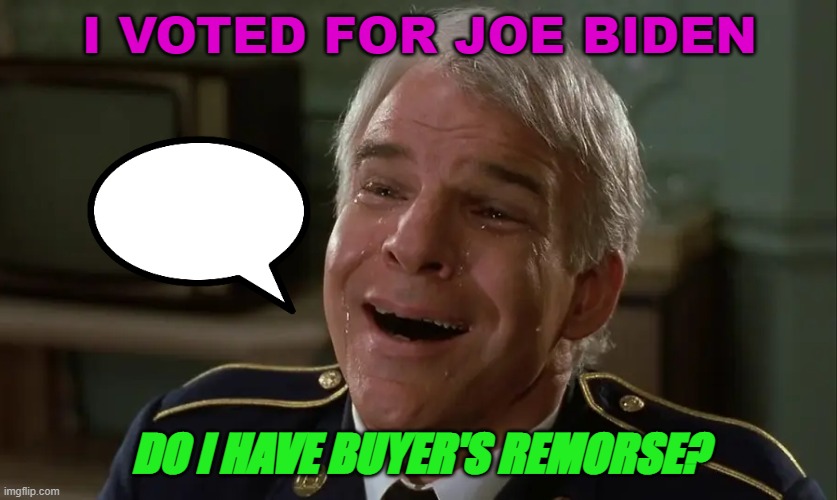 Do I have buyer's remorse? | I VOTED FOR JOE BIDEN; DO I HAVE BUYER'S REMORSE? | image tagged in dirty rotten scoundrels | made w/ Imgflip meme maker