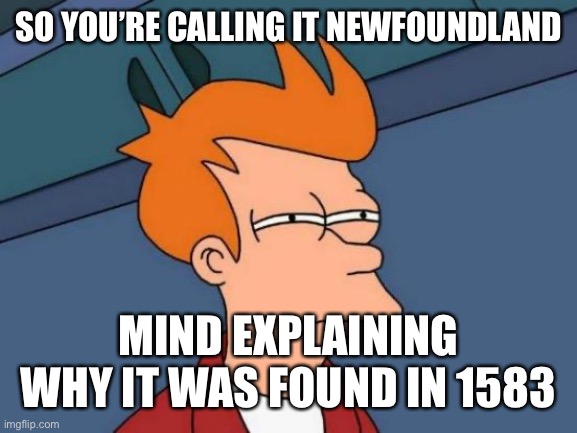 Futurama Fry Meme | SO YOU’RE CALLING IT NEWFOUNDLAND; MIND EXPLAINING WHY IT WAS FOUND IN 1583 | image tagged in memes,futurama fry,history | made w/ Imgflip meme maker