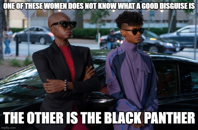 Blending in fail | ONE OF THESE WOMEN DOES NOT KNOW WHAT A GOOD DISGUISE IS; THE OTHER IS THE BLACK PANTHER | image tagged in black panther,memes | made w/ Imgflip meme maker