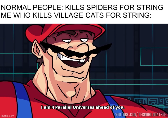 I am 4 Parallel Universes ahead of you. | NORMAL PEOPLE: KILLS SPIDERS FOR STRING
ME WHO KILLS VILLAGE CATS FOR STRING: | image tagged in i am 4 parallel universes ahead of you | made w/ Imgflip meme maker