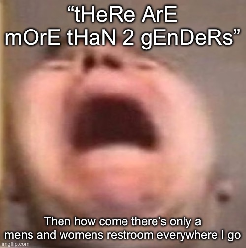 . | “tHeRe ArE mOrE tHaN 2 gEnDeRs”; Then how come there’s only a mens and womens restroom everywhere I go | made w/ Imgflip meme maker