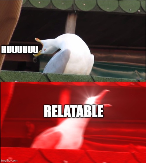 Deep Breath Seagull | HUUUUUU RELATABLE | image tagged in deep breath seagull | made w/ Imgflip meme maker