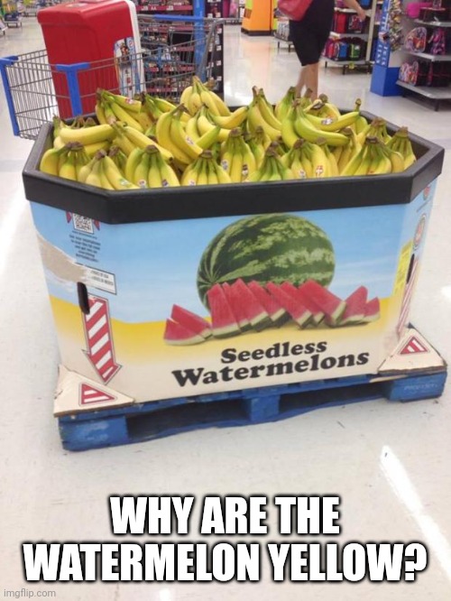 Watermelon | WHY ARE THE WATERMELON YELLOW? | image tagged in you had one job | made w/ Imgflip meme maker