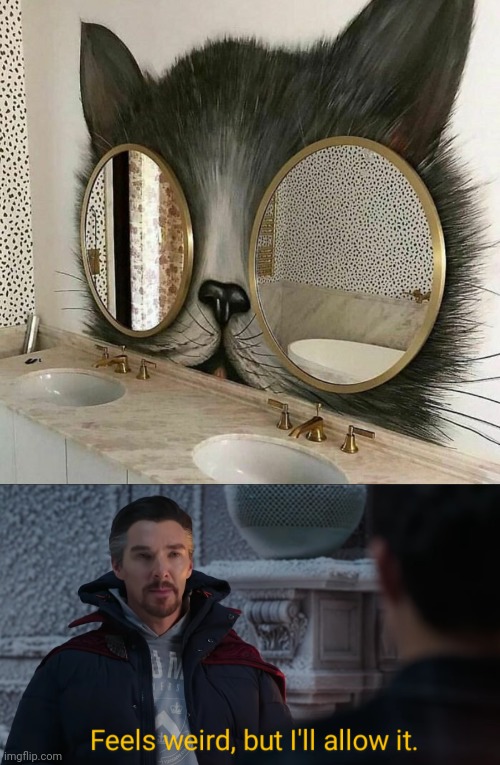 The cat eyes mirror | image tagged in feels weird but i'll allow it,cats,cat,mirror,memes,mirrors | made w/ Imgflip meme maker