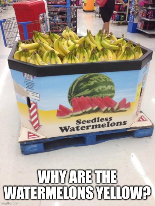 Watermelon | WHY ARE THE WATERMELONS YELLOW? | image tagged in you had one job | made w/ Imgflip meme maker