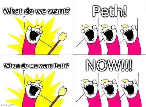 but seriously, I am currently rping in a old rp- | What do we want? Peth! NOW!!! When do we want Peth? | made w/ Imgflip meme maker