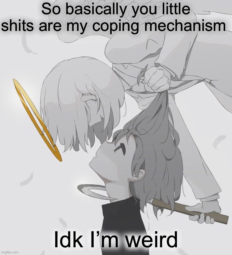 Avogado6 depression | So basically you little shits are my coping mechanism; Idk I’m weird | image tagged in avogado6 depression | made w/ Imgflip meme maker
