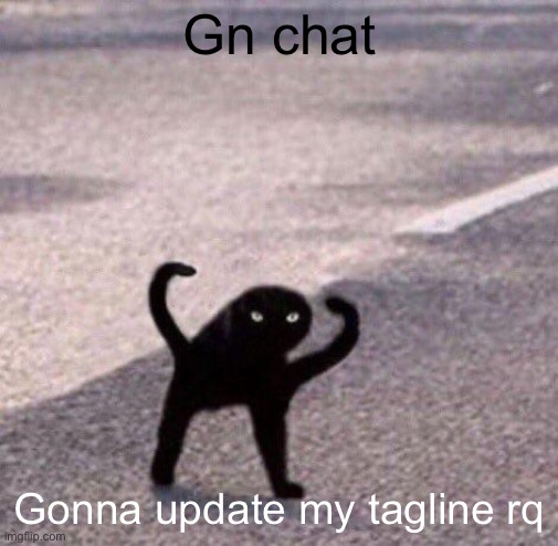Cursed cat temp | Gn chat; Gonna update my tagline rq | image tagged in cursed cat temp | made w/ Imgflip meme maker