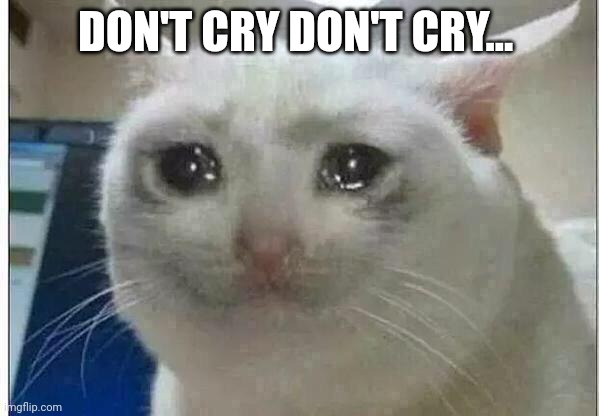 crying cat | DON'T CRY DON'T CRY... | image tagged in crying cat | made w/ Imgflip meme maker