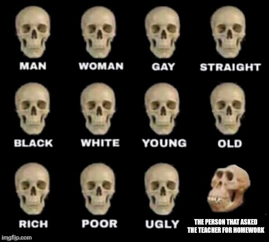 idiot skull | THE PERSON THAT ASKED THE TEACHER FOR HOMEWORK | image tagged in idiot skull | made w/ Imgflip meme maker