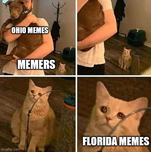 What happened? Smh | OHIO MEMES; MEMERS; FLORIDA MEMES | image tagged in ignored cat | made w/ Imgflip meme maker