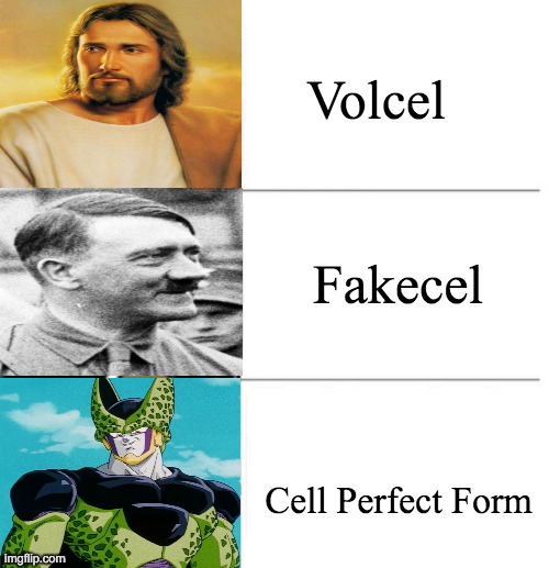 3 tier incel | Volcel; Fakecel; Cell Perfect Form | image tagged in winnie the pooh 3 tier,incel,fakecel,volcel,dragonball z,cellperfectform | made w/ Imgflip meme maker