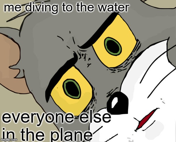 Unsettled Tom Meme | me diving to the water; everyone else in the plane | image tagged in memes,unsettled tom | made w/ Imgflip meme maker