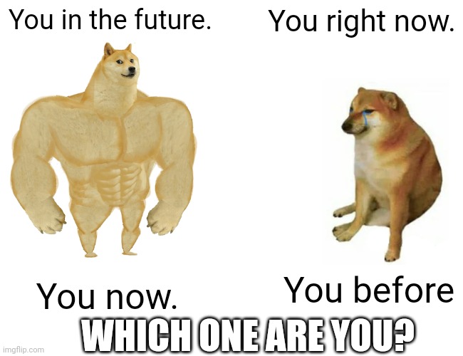 Buff Doge vs. Cheems Meme | You in the future. You right now. You before; You now. WHICH ONE ARE YOU? | image tagged in memes,buff doge vs cheems | made w/ Imgflip meme maker