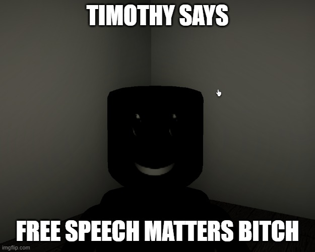 Timothy says | TIMOTHY SAYS; FREE SPEECH MATTERS BITCH | image tagged in funny,politics,roblox meme,scary | made w/ Imgflip meme maker