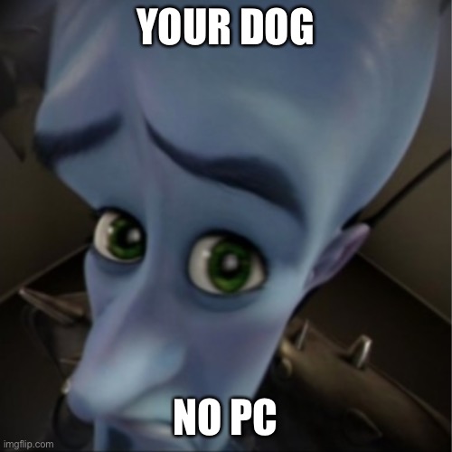 YOUR DOG NO PC | image tagged in megamind peeking | made w/ Imgflip meme maker