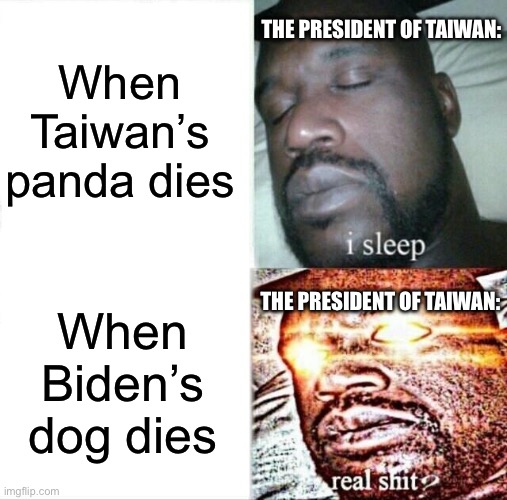 Sleeping Shaq |  When Taiwan’s panda dies; THE PRESIDENT OF TAIWAN:; THE PRESIDENT OF TAIWAN:; When Biden’s dog dies | image tagged in memes,sleeping shaq,taiwan,biden,politics | made w/ Imgflip meme maker