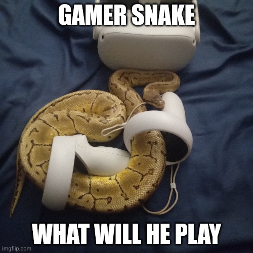 Mouse catcher 3000 | GAMER SNAKE; WHAT WILL HE PLAY | image tagged in snake,video games,gaming,funny animals | made w/ Imgflip meme maker
