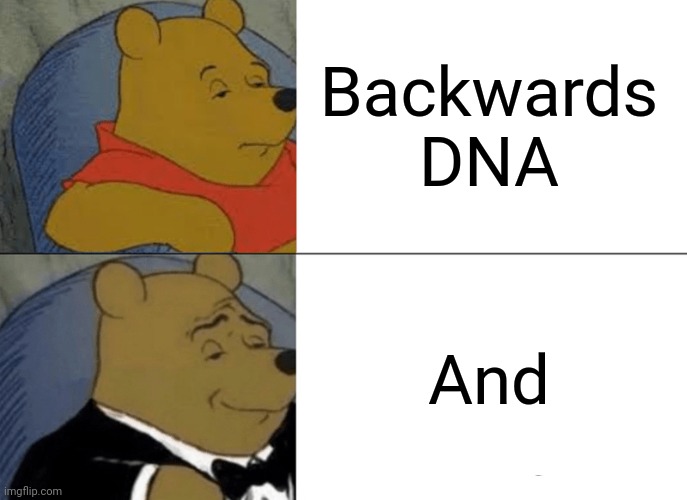 Tuxedo Winnie The Pooh Meme | Backwards DNA; And | image tagged in memes,tuxedo winnie the pooh | made w/ Imgflip meme maker