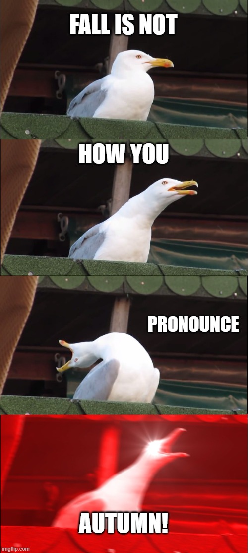 Inhaling Seagull Meme | FALL IS NOT; HOW YOU; PRONOUNCE; AUTUMN! | image tagged in memes,inhaling seagull,fall,autumn | made w/ Imgflip meme maker