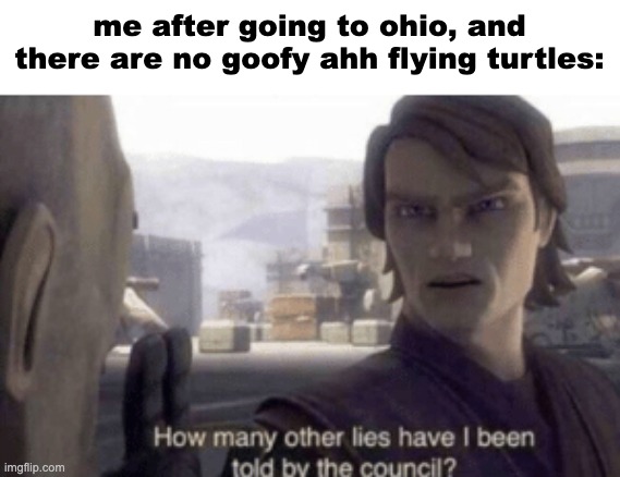 How many other lies have i been told by the council | me after going to ohio, and there are no goofy ahh flying turtles: | image tagged in how many other lies have i been told by the council | made w/ Imgflip meme maker