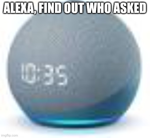  ALEXA, FIND OUT WHO ASKED | image tagged in alexa | made w/ Imgflip meme maker