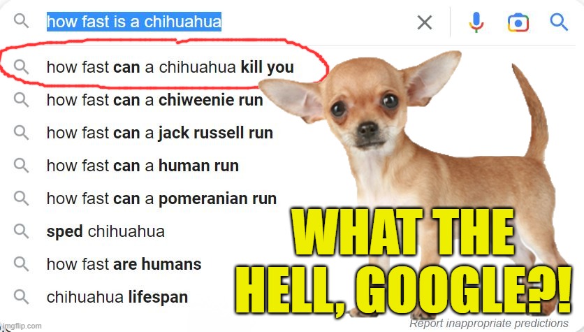 I'm going as fast as I can! | WHAT THE HELL, GOOGLE?! | image tagged in dogs,memes,chihuahua,google | made w/ Imgflip meme maker