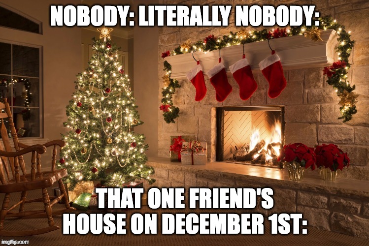 The Christmas hope is ridiculous | NOBODY: LITERALLY NOBODY:; THAT ONE FRIEND'S HOUSE ON DECEMBER 1ST: | image tagged in merry christmas | made w/ Imgflip meme maker
