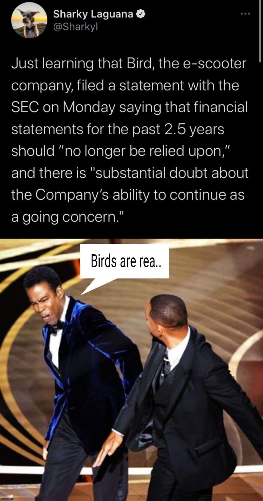 Probability of birds being real: Substantially less after this tweet | image tagged in bankrupt bird,will smith smacks chris rock birds aren t real | made w/ Imgflip meme maker
