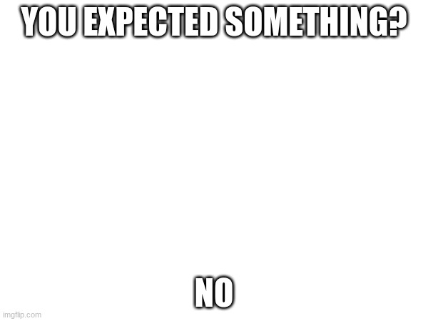 no | YOU EXPECTED SOMETHING? NO | image tagged in no | made w/ Imgflip meme maker