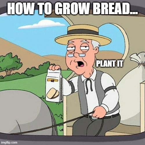 How to grow bread | HOW TO GROW BREAD... PLANT IT | image tagged in memes,pepperidge farm remembers | made w/ Imgflip meme maker