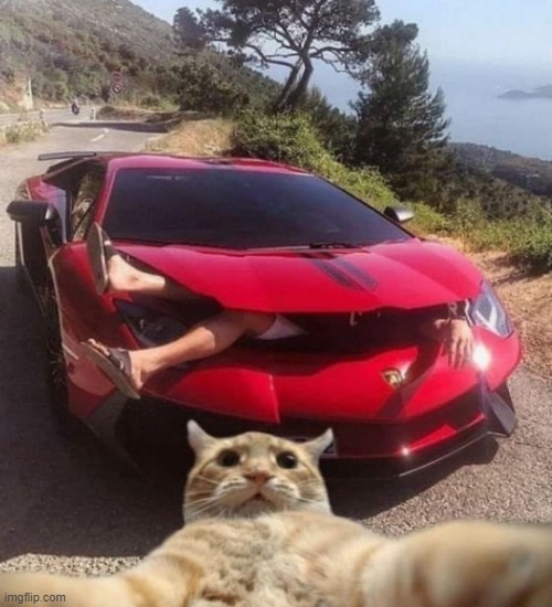 car eating a man | image tagged in cars | made w/ Imgflip meme maker