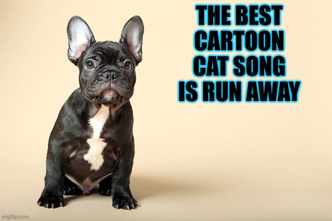 KSDawg | THE BEST CARTOON CAT SONG IS RUN AWAY | image tagged in ksdawg | made w/ Imgflip meme maker