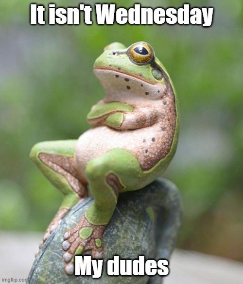 Not Wednesday | It isn't Wednesday; My dudes | image tagged in nah frog | made w/ Imgflip meme maker