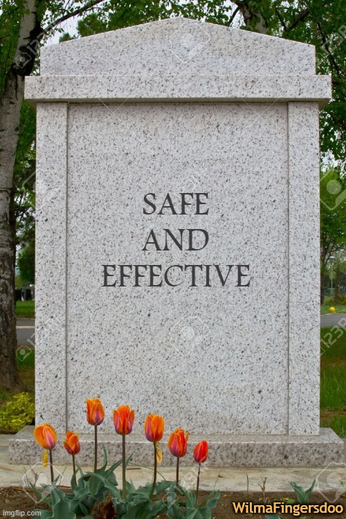 Gravestone | SAFE AND EFFECTIVE; WilmaFingersdoo | image tagged in gravestone | made w/ Imgflip meme maker