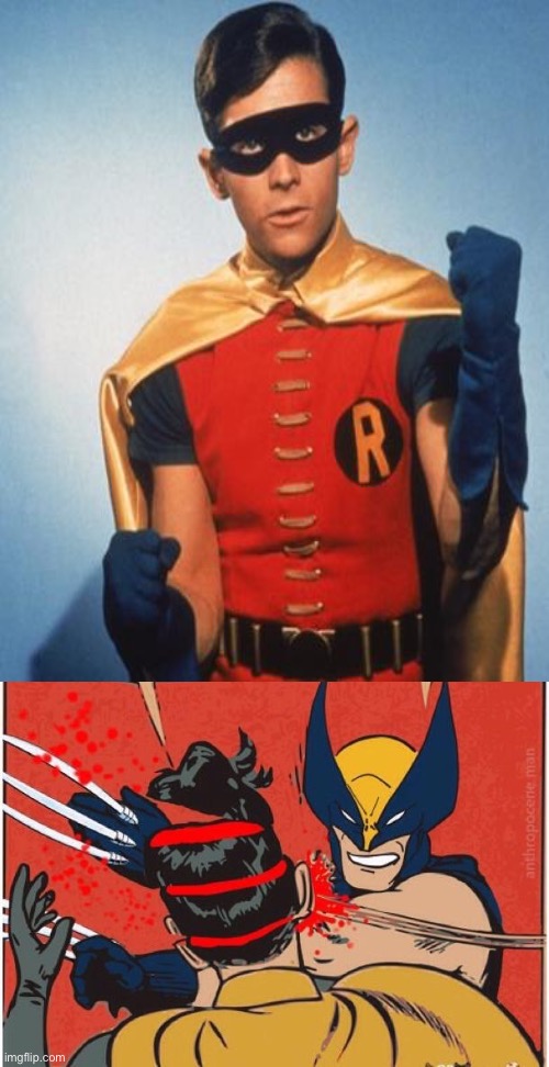 image tagged in robin,wolverines kills robin | made w/ Imgflip meme maker