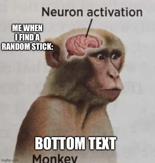 Oh hey. I see you’ve found my trash pile of a personality. | ME WHEN I FIND A RANDOM STICK:; BOTTOM TEXT | image tagged in neuron activation | made w/ Imgflip meme maker