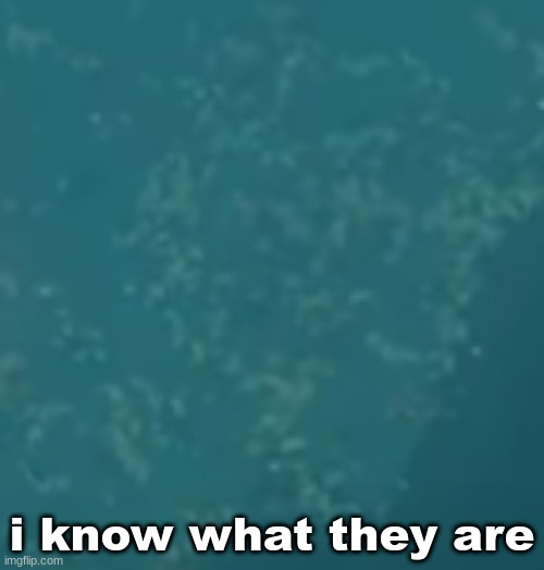 i know what they are | made w/ Imgflip meme maker